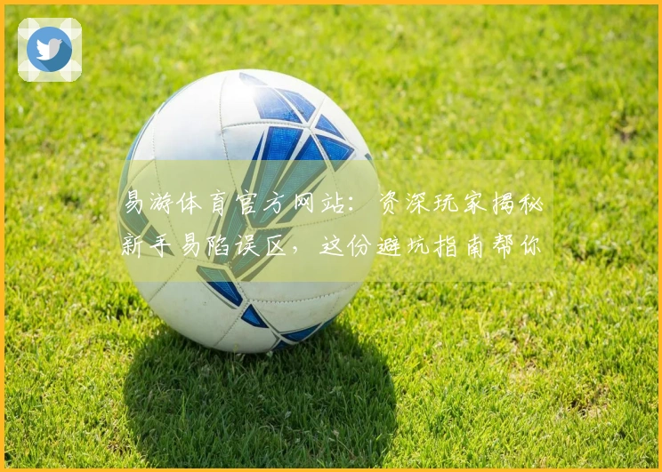 易游体育官方网站：资深玩家揭秘新手易陷误区，这份避坑指南帮你赢在起跑线