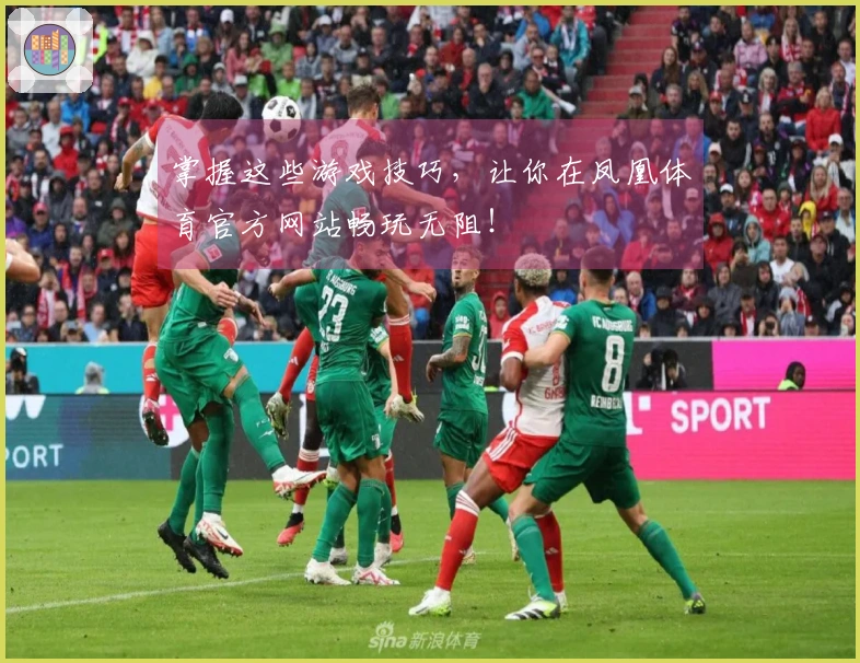 掌握这些游戏技巧，让你在凤凰体育官方网站畅玩无阻！