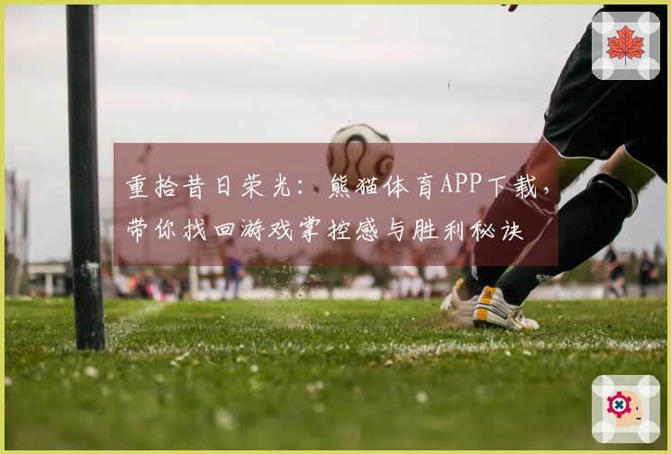重拾昔日荣光：熊猫体育APP下载，带你找回游戏掌控感与胜利秘诀